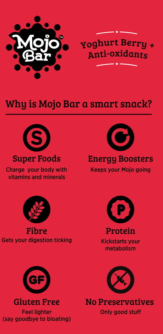 Yoghurt Berry Anti Oxidant, 480g (Pack of 15) - Mojo Snacks